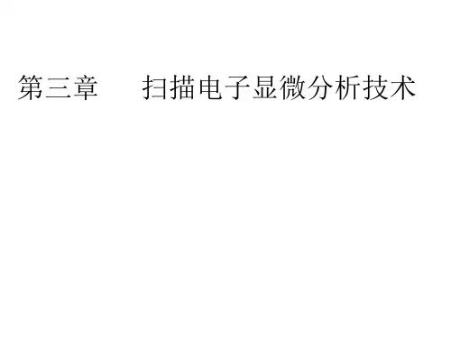 扫描电镜 第三章