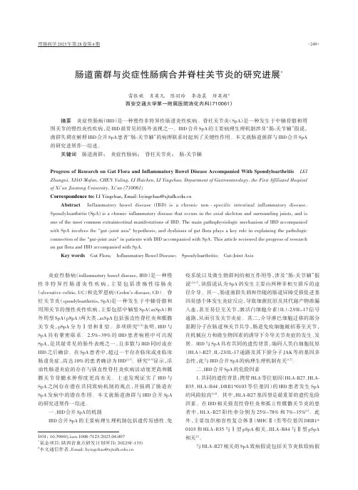 肠道菌群与炎症性肠病合并脊柱关节炎的研究进展