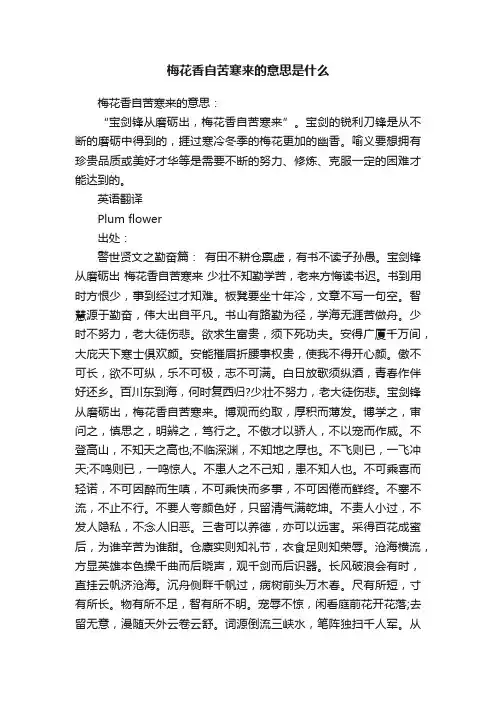 梅花香自苦寒来的意思是什么