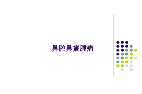 鼻颅底肿瘤课件