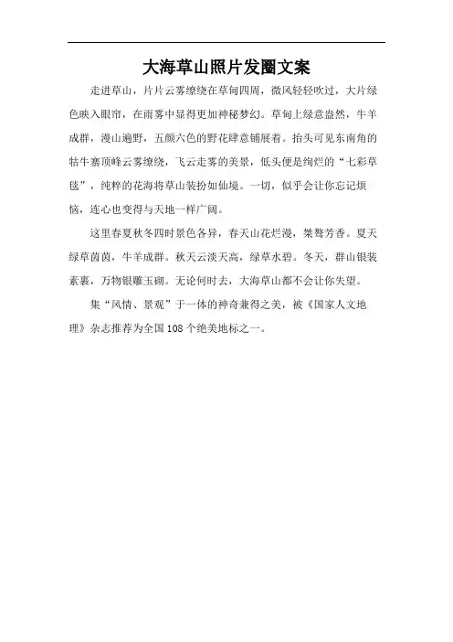 大海草山照片发圈文案