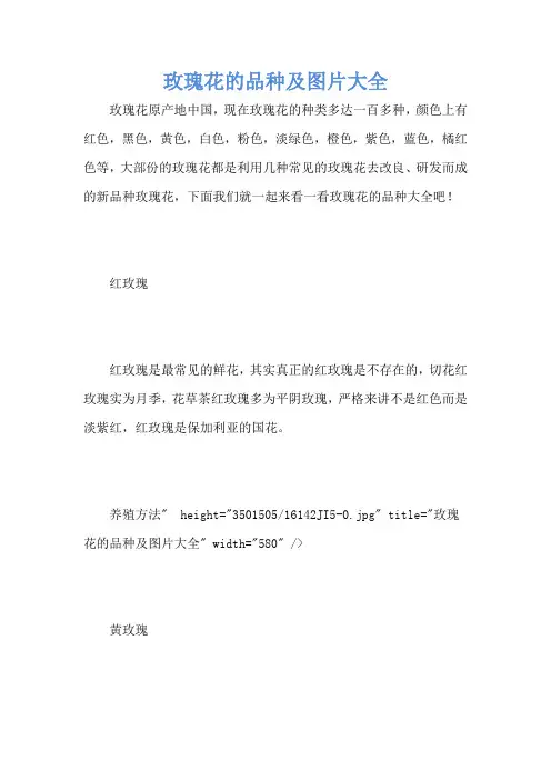 玫瑰花的品种及图片大全