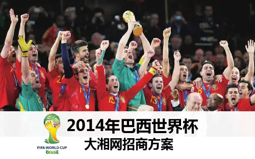 大湘网-2014年巴西世界杯方案