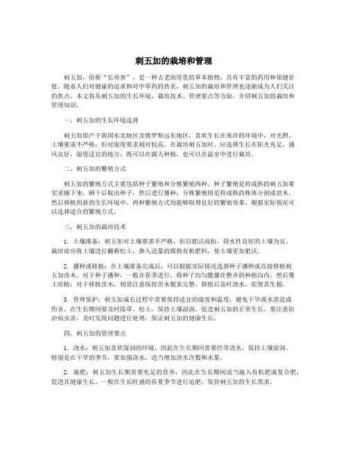 刺五加的栽培和管理