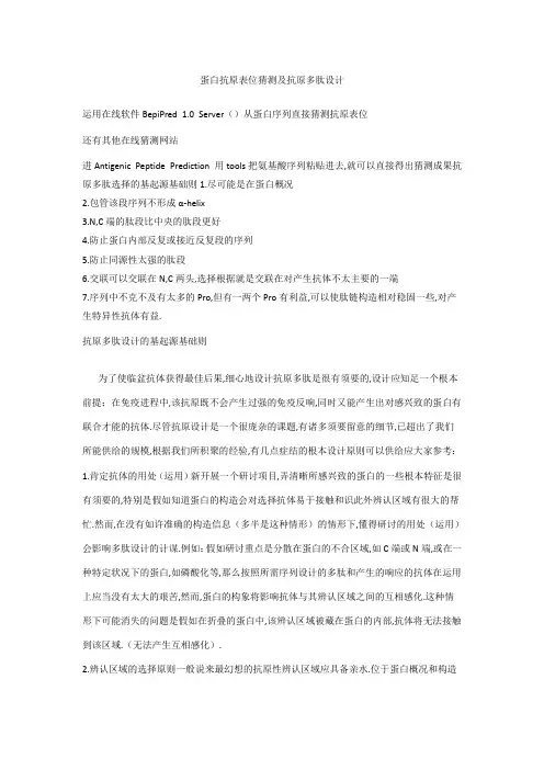 蛋白抗原表位预测及抗原多肽设计