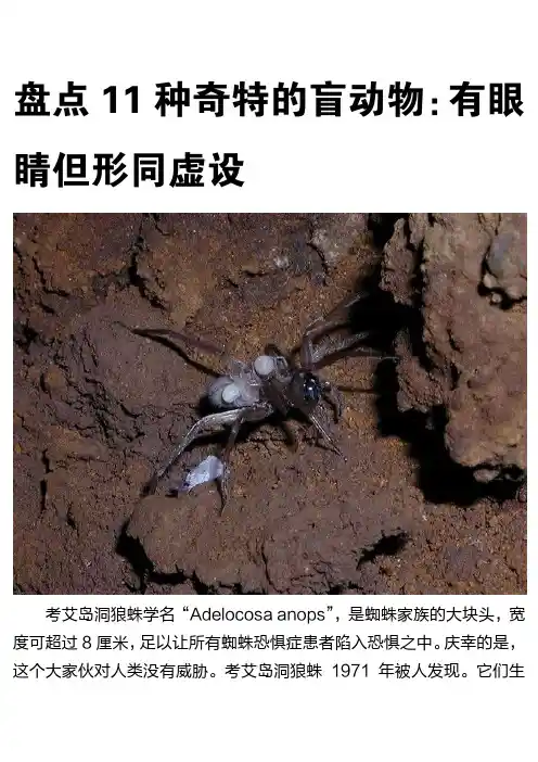 盘点11种奇特的盲动物：有眼睛但形同虚设
