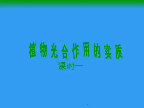 6-3植物光合作用的实质(课件)苏教版七年级生物