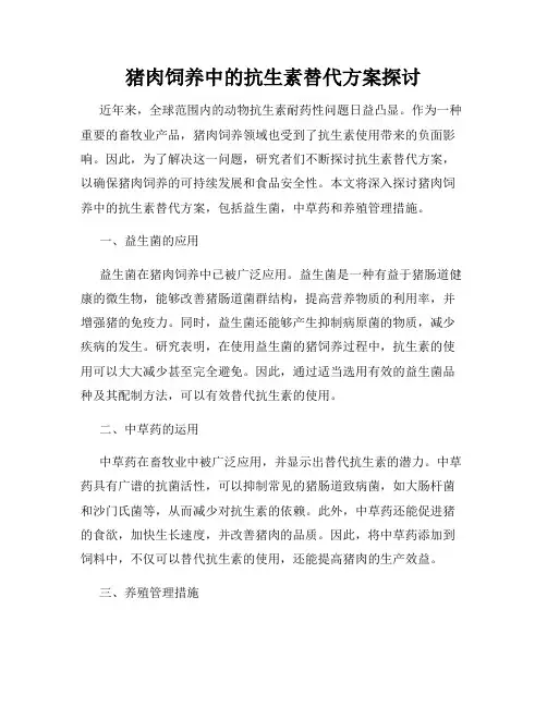 猪肉饲养中的抗生素替代方案探讨