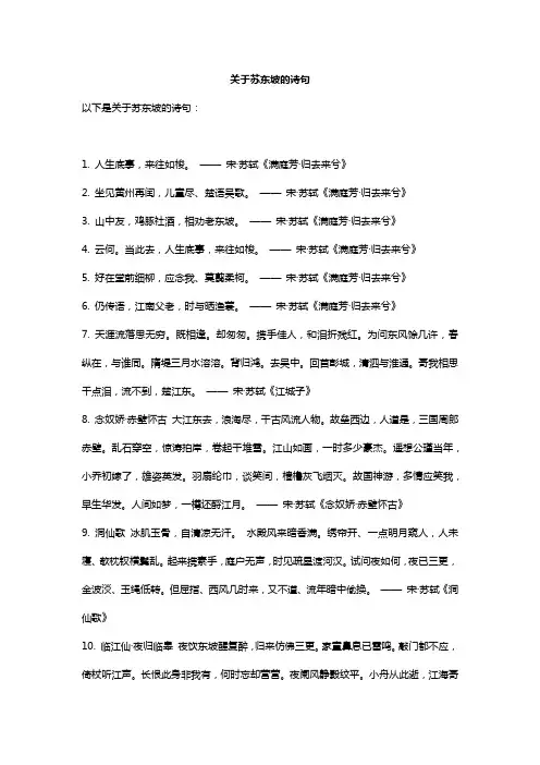 关于苏东坡的诗句