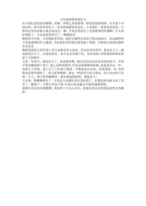 五年级借物寄情作文