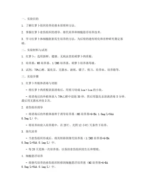 红萝卜接种实验报告
