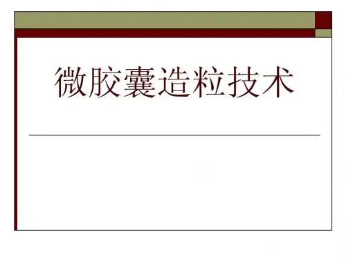微胶囊