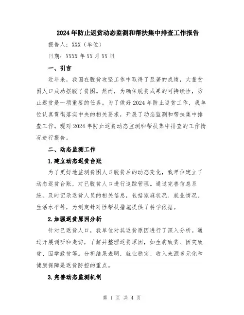 2024年防止返贫动态监测和帮扶集中排查工作报告