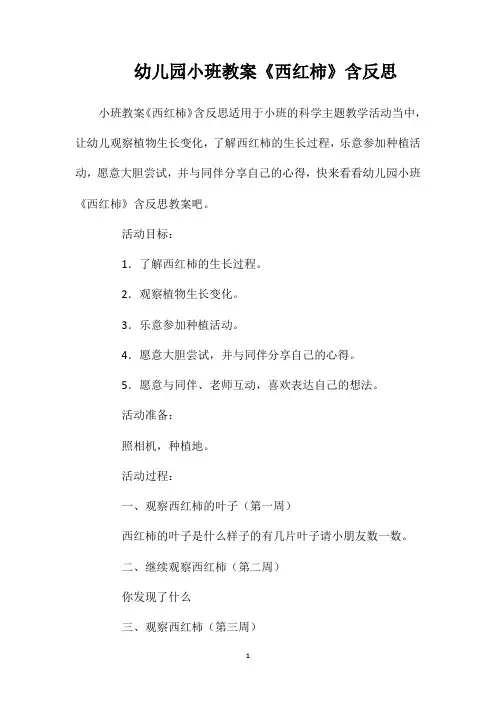 幼儿园小班教案《西红柿》含反思