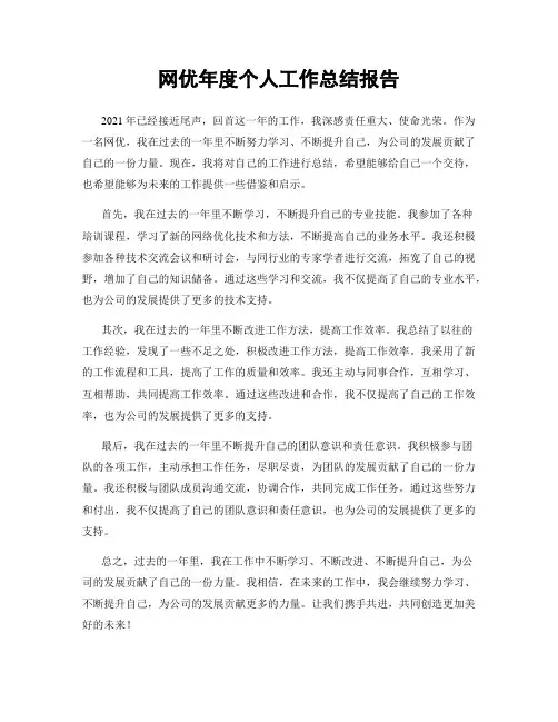 网优年度个人工作总结报告