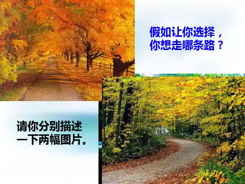 《外国诗二首——未选择的路》课件(共38张PPT)