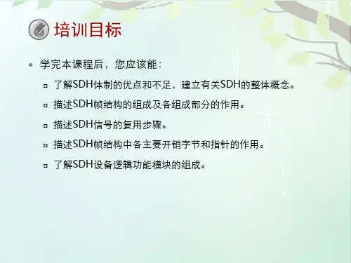 SDH基本原理  ppt课件