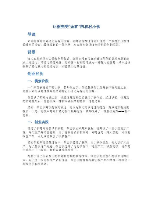 让稻壳变“金矿”的农村小伙