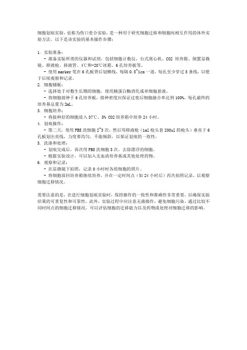 细胞划痕实验操作步骤