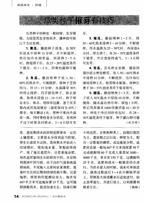 瓜类种子催芽有技巧
