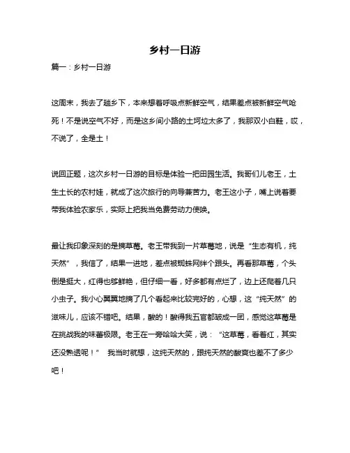 作文《乡村一日游》