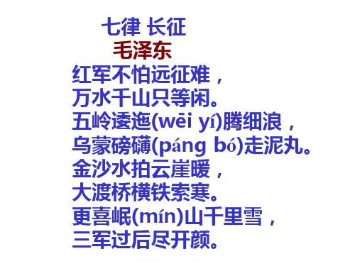 《金色的鱼钩》课件-完美版1