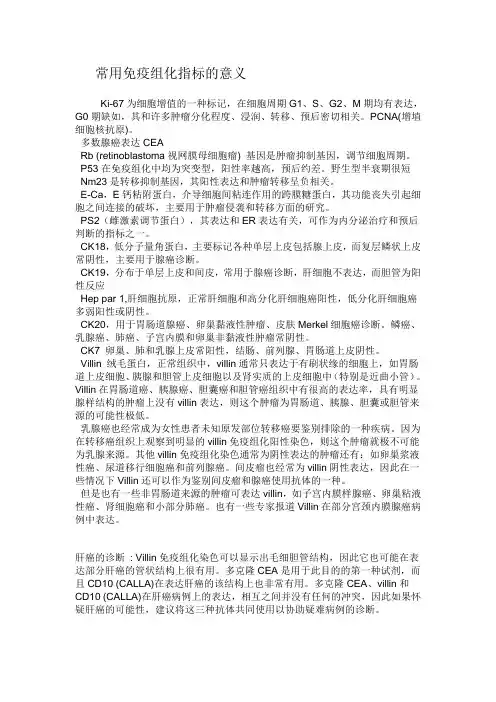 常用免疫组化标记物