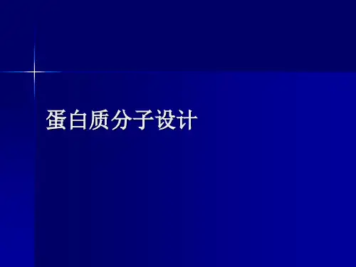 蛋白质分子设计