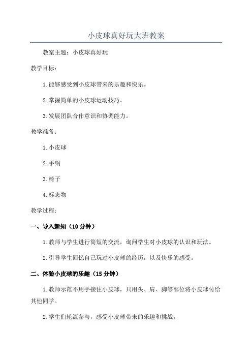 小皮球真好玩大班教案
