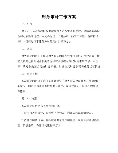 财务审计工作方案