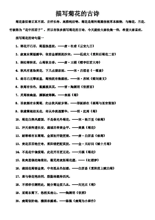 描写菊花的古诗