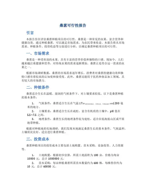 桑葚可行性报告