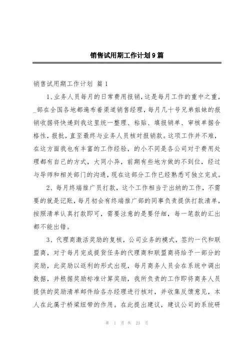 销售试用期工作计划9篇