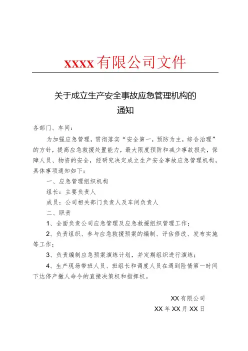 关于成立生产安全事故应急管理组织机构的通知