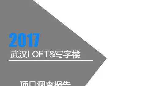 武汉新公寓LOFT及商业项目市场报告[优质PPT]