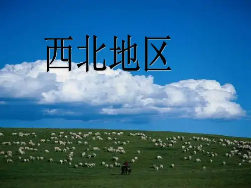 高中地理区域地理--西北地区ppt精选课件