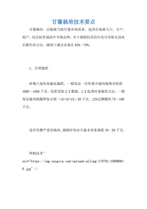 甘薯栽培技术要点