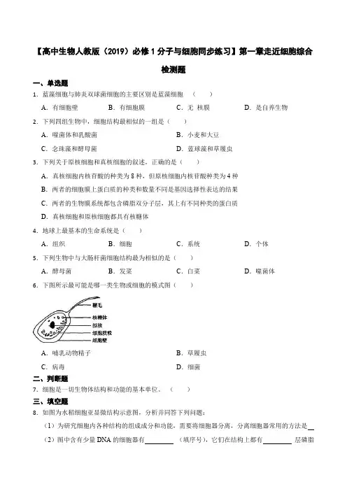 【高中生物人教版(2019)必修1同步练习】第一章走近细胞综合检测题(含答案)
