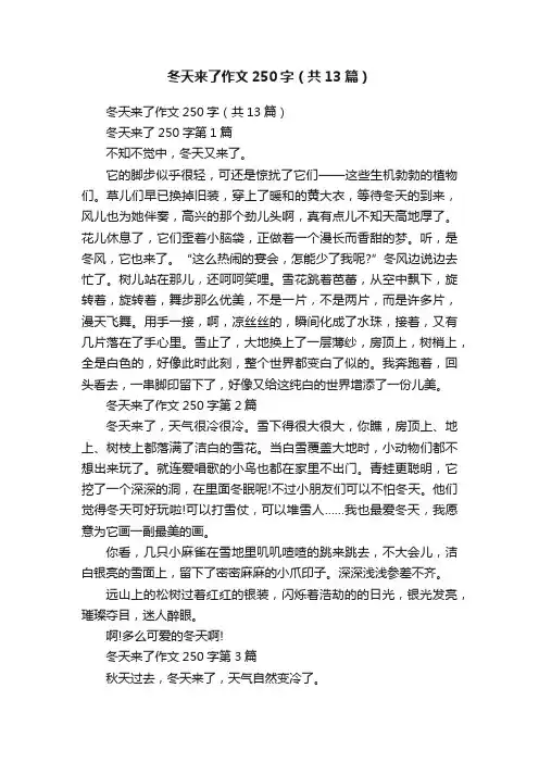 冬天来了作文250字（共13篇）