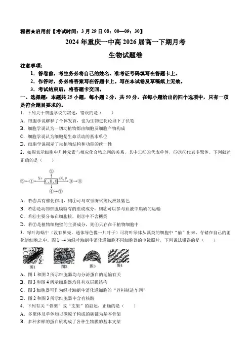 重庆市沙坪坝区第一中学校2023-2024学年高一下学期3月月考生物试题