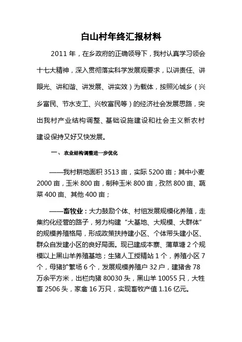 白山村年终汇报材料
