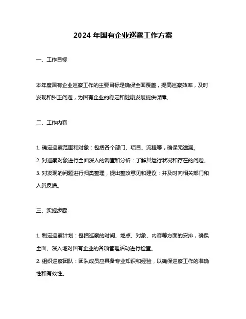 2024年国有企业巡察工作方案