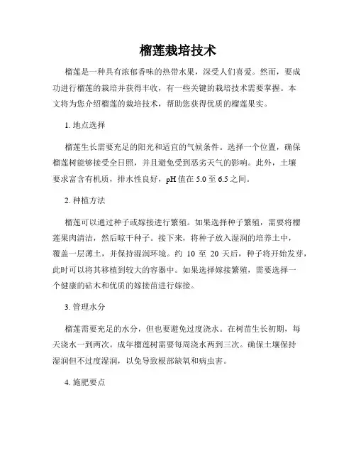 榴莲栽培技术