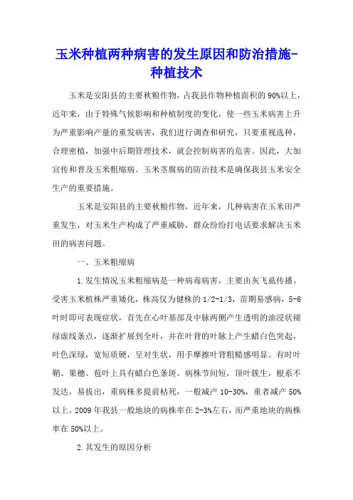 玉米种植两种病害的发生原因和防治措施 - 种植技术