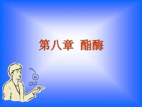 食品酶学-酯酶