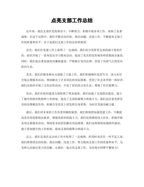 点亮支部工作总结