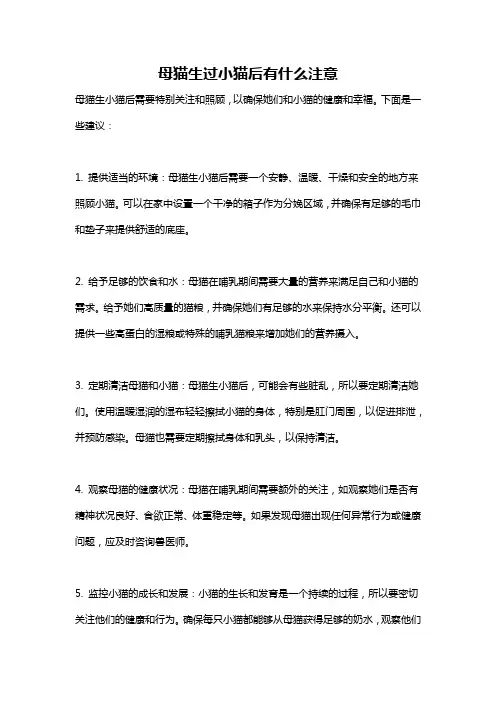 母猫生过小猫后有什么注意