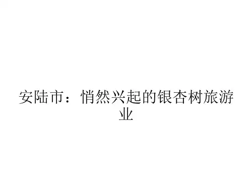 安陆市：悄然兴起的银杏树旅游业PPT课件
