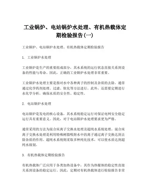 工业锅炉、电站锅炉水处理、有机热载体定期检验报告(一)