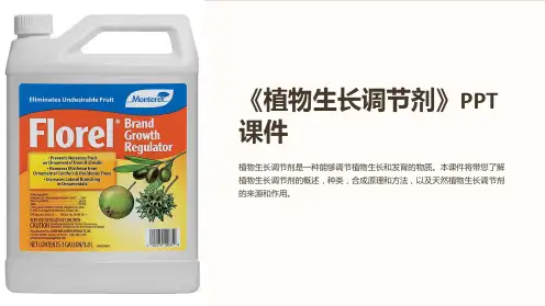 《植物生长调节剂》课件
